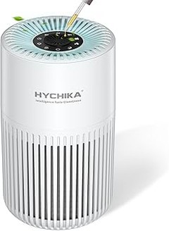 ** Guía para Utilizar un Purificador de Aire y Eliminar Olores