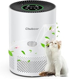 Los mejores purificadores de aire con carbón activo para alérgicos