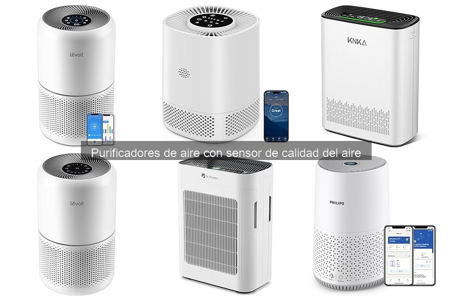 Alternativas a purificadores de aire con sensor en el hogar