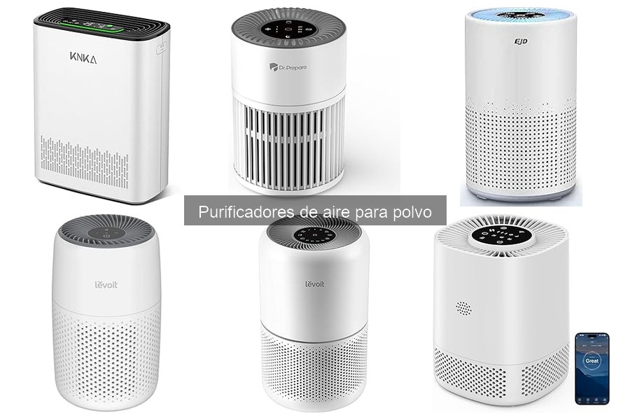 Alternativas a purificadores de aire para controlar el polvo
