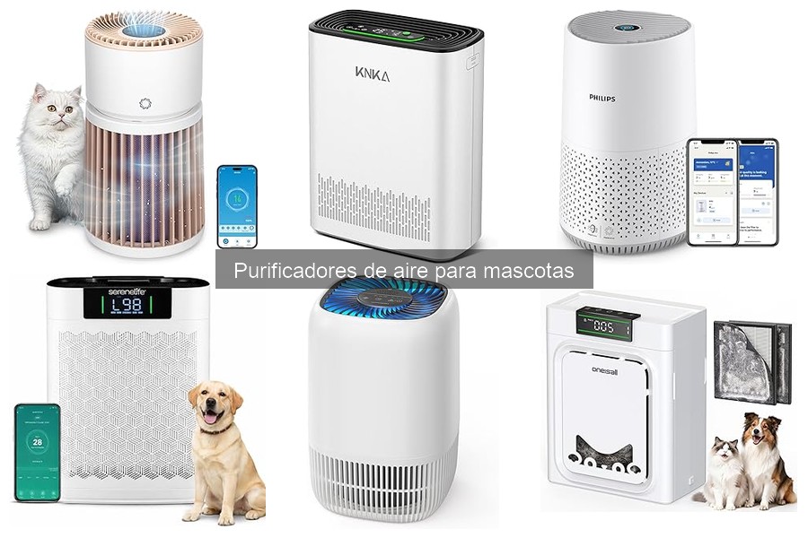 Alternativas a purificadores de aire para hogares con mascotas