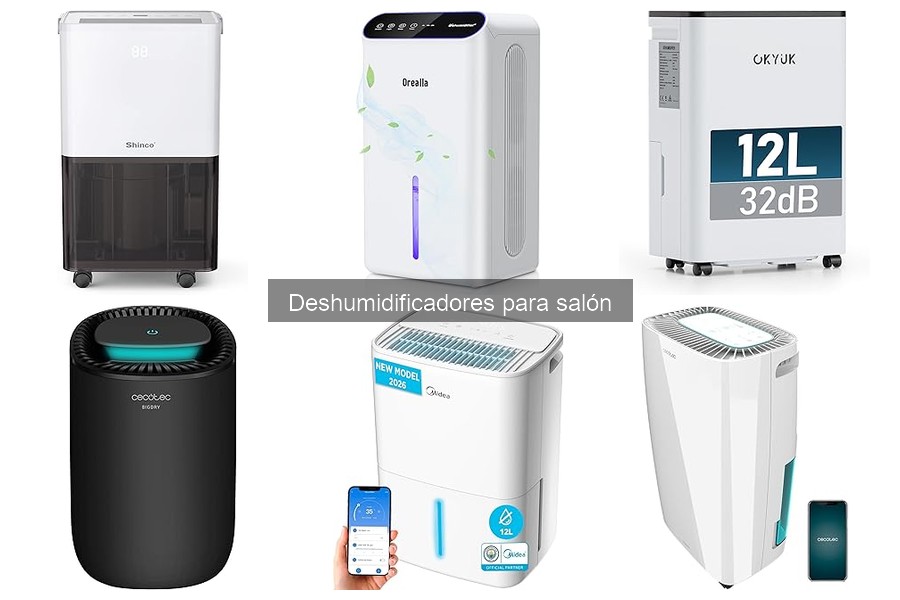 Alternativas efectivas a deshumidificadores para el salón