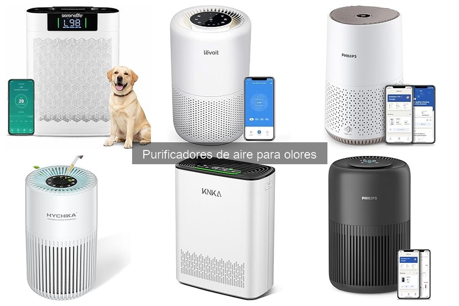 Alternativas Efectivas a los Purificadores de Aire para Olores