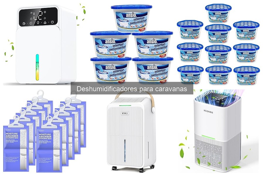 Aspectos clave del deshumidificador en caravanas pequeñas