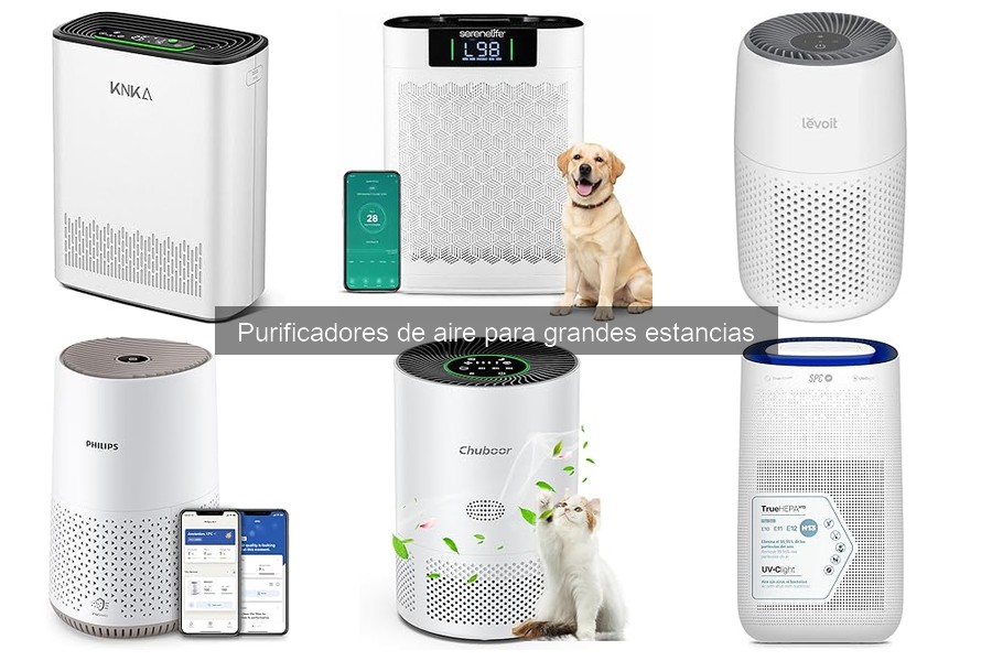 Beneficios de un purificador de aire para alergias en grandes estancias