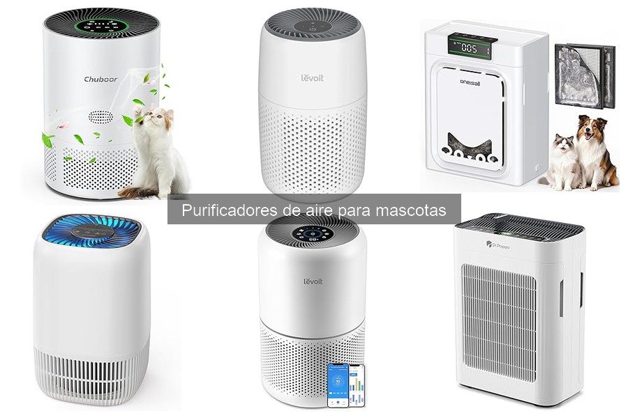 Beneficios de un purificador de aire para hogares con mascotas