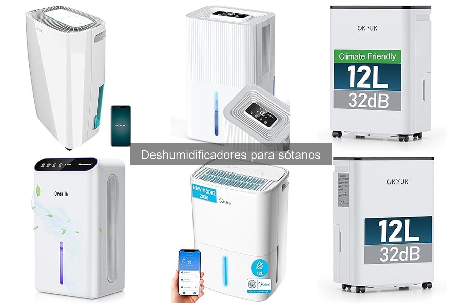 Cómo elegir el deshumidificador ideal para tu sótano