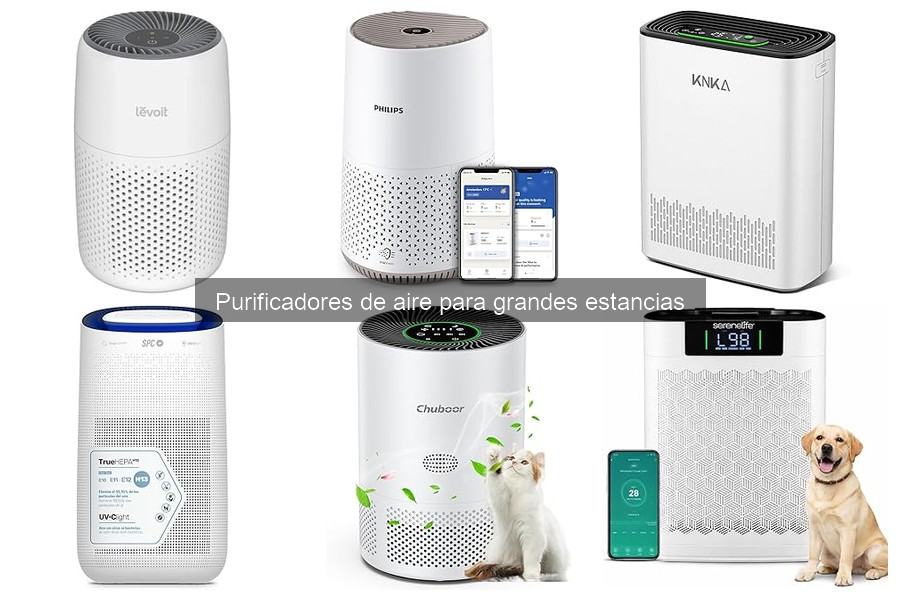 Cómo elegir el mejor purificador de aire para grandes estancias