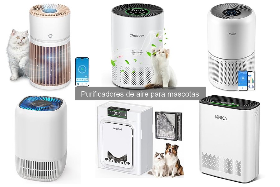 Cómo elegir el mejor purificador de aire para mascotas