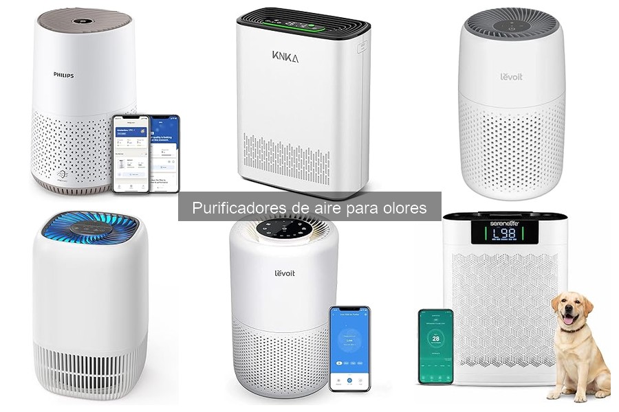 Cómo elegir el mejor purificador de aire para olores