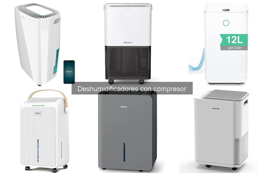 Cómo Elegir un Deshumidificador con Compresor Efectivo