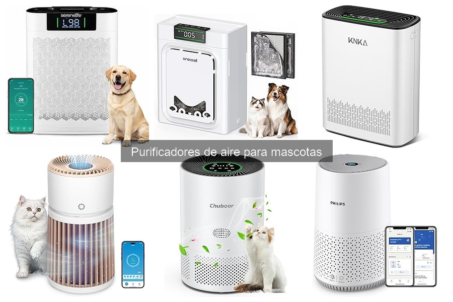 Cómo instalar y usar un purificador de aire para mascotas