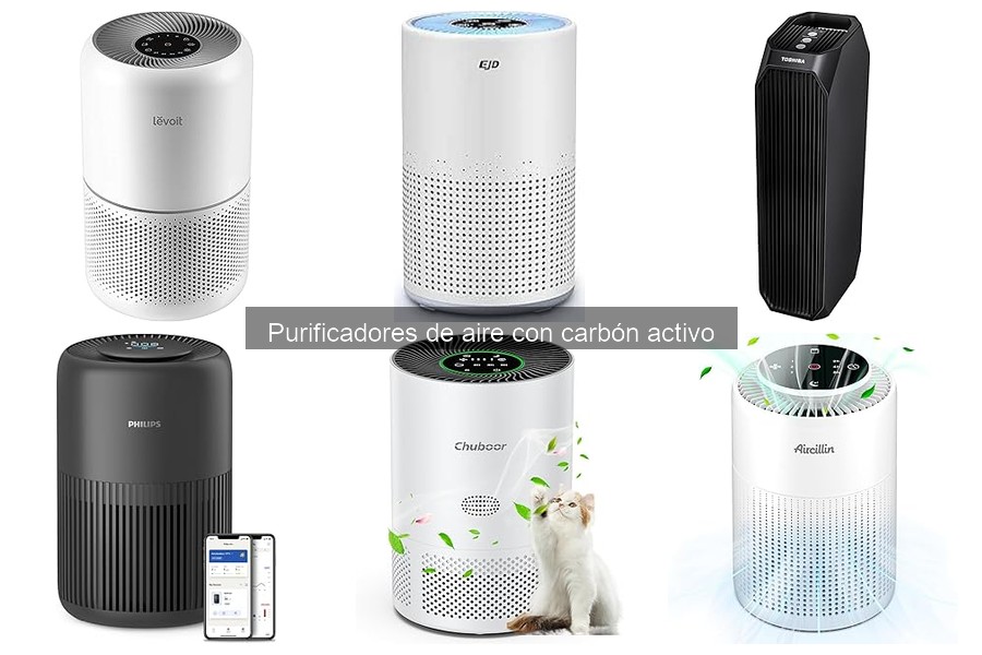 Cómo mantener tu purificador de aire con carbón activo