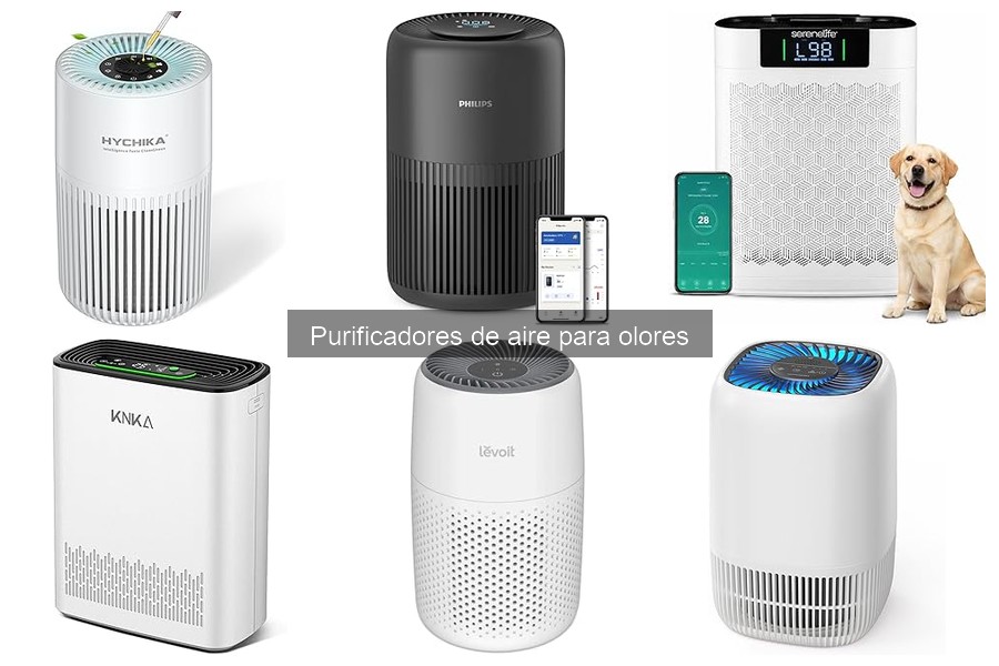 ** Cómo Usar un Purificador de Aire para Olores Eficazmente