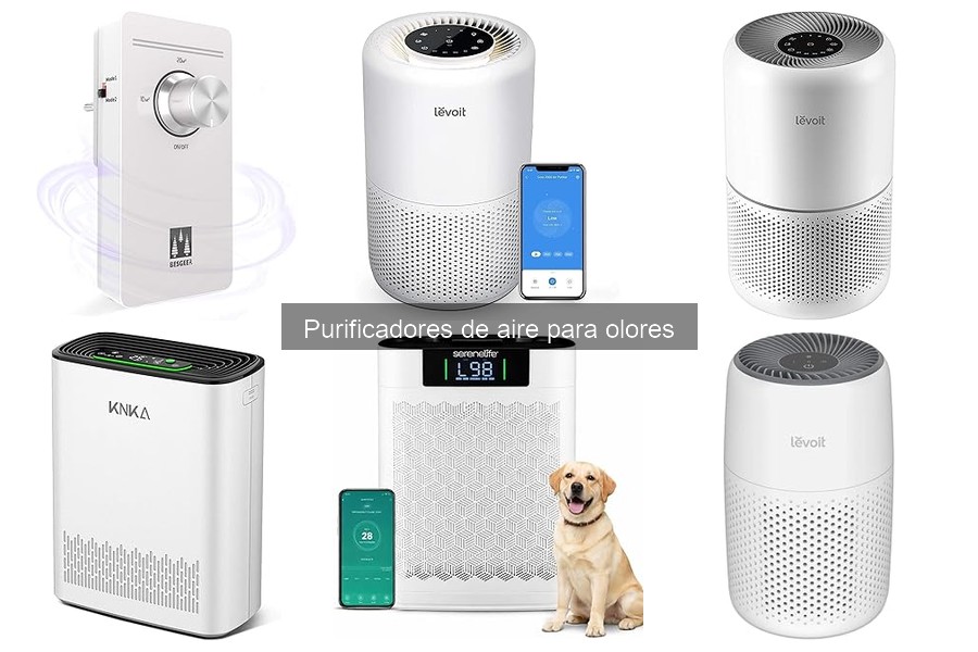 Comparativa: Purificadores de aire vs Ambientadores