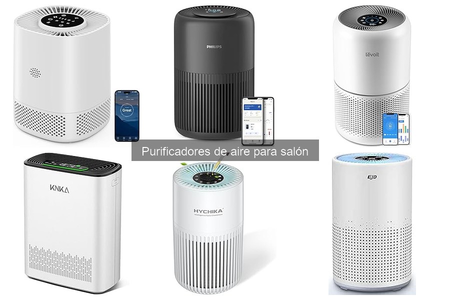 Comparativa: Purificadores HEPA vs Ionizadores para el Salón