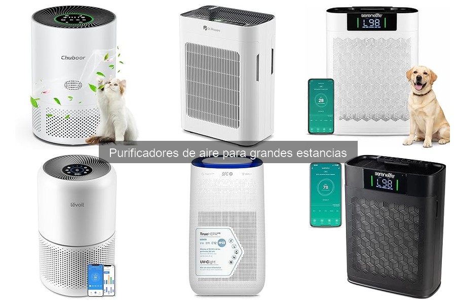 ¿Cuánto cuesta un purificador de aire para grandes estancias?