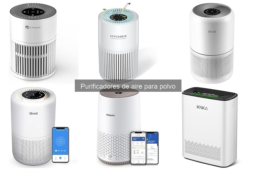 ¿Cuánto cuesta un purificador de aire para polvo?