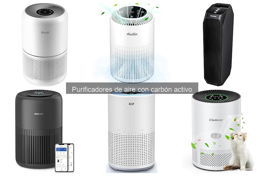 ¿Cuánto dura el carbón activo en un purificador de aire?