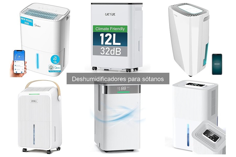 Deshumidificadores para Sótanos: ¿Son Necesarios Realmente?