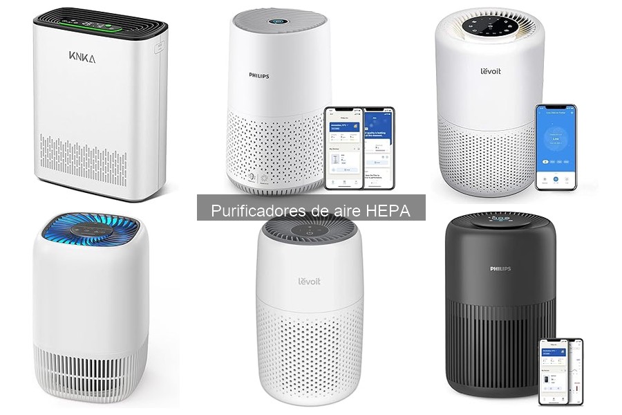 Desventajas de los purificadores de aire HEPA: Lo que debes saber