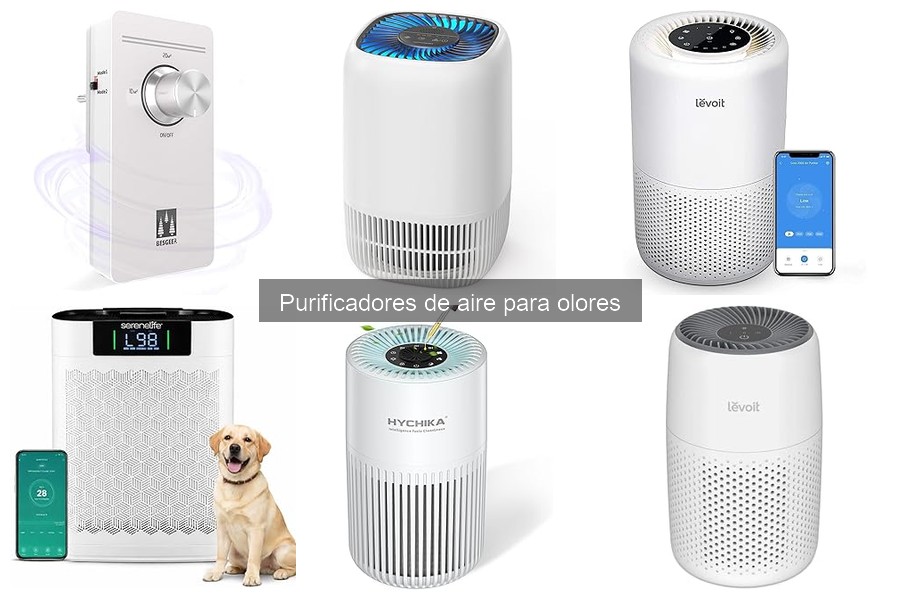 Dónde comprar purificadores de aire para olores: mejores opciones