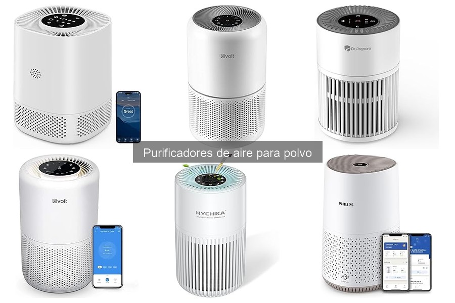 ** Errores comunes al usar purificadores de aire para polvo