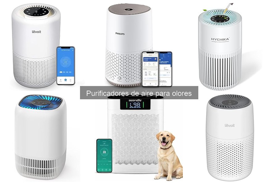 Factores que Afectan la Eficacia de Purificadores de Aire para Olores
