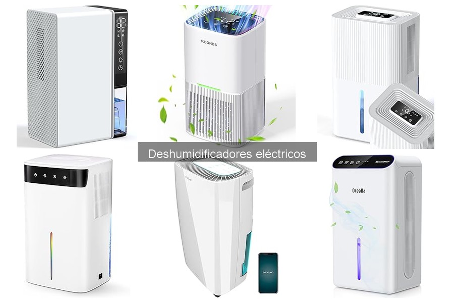 Guía para elegir el mejor deshumidificador eléctrico