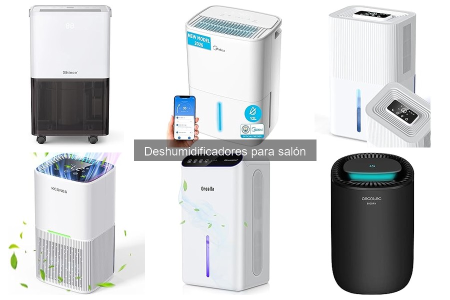 Guía para Elegir el Mejor Deshumidificador para Salón