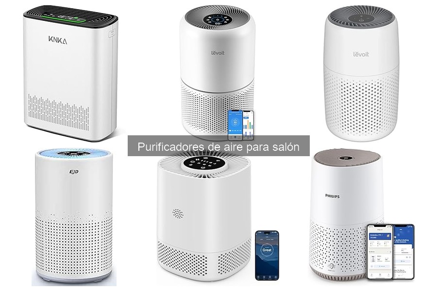 Guía para elegir el purificador de aire ideal para tu hogar