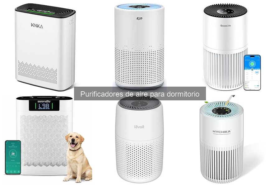 ¿Los purificadores de aire ayudan con las alergias?