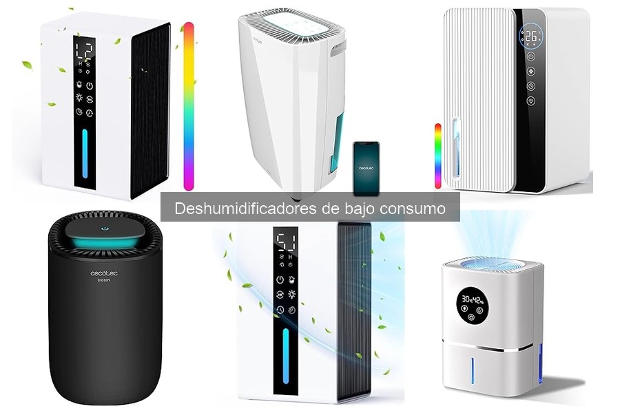 Mantenimiento de Deshumidificadores de Bajo Consumo