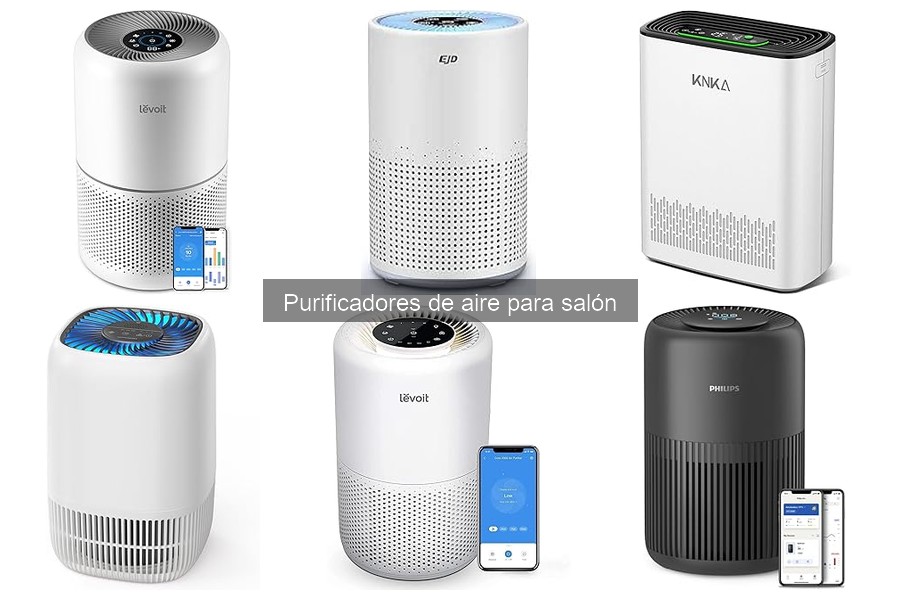 Mantenimiento de filtros en purificadores de aire: Frecuencia y tips