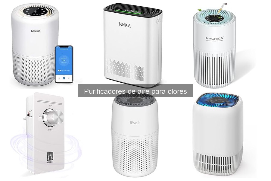 Mantenimiento de purificadores de aire para eliminar olores