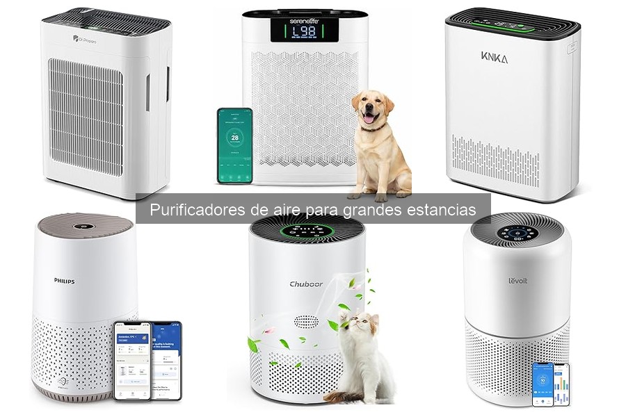Mantenimiento esencial para purificadores de aire grandes