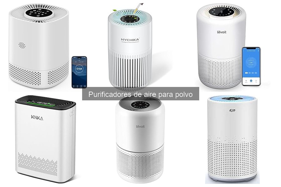 ** Mantenimiento y Limpieza de Purificadores de Aire para Polvo