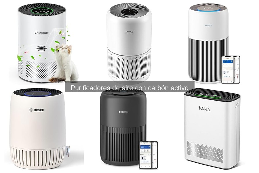 Mejores purificadores de aire con carbón para alérgicos