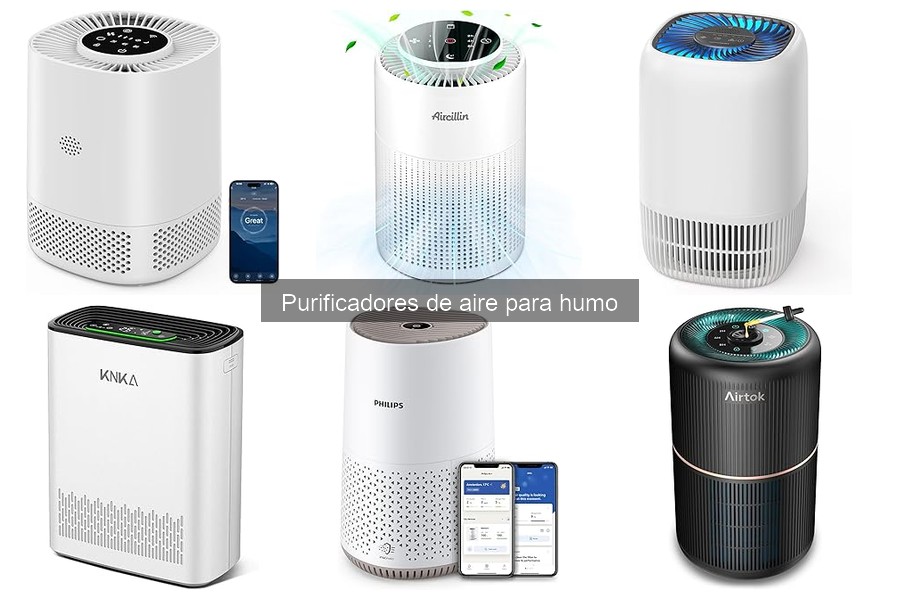 Mejores purificadores de aire para humo en 2023