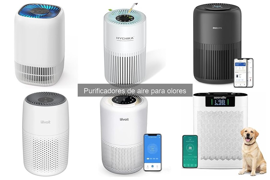 Mejores purificadores de aire para olores en 2023