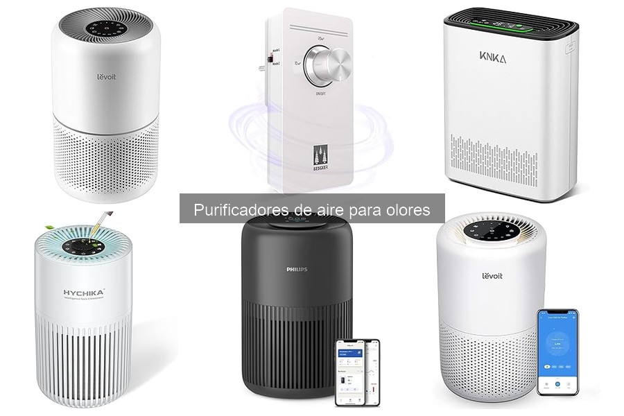 Opiniones de Purificadores de Aire para Olores: Reseñas Reales