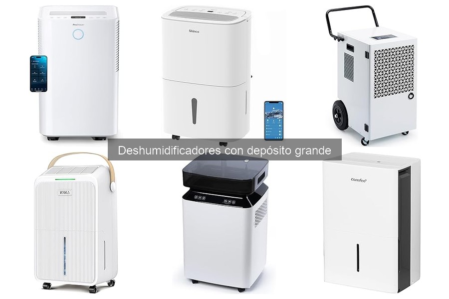 Precios de Deshumidificadores con Depósito Grande: Guía 2023