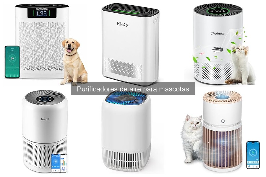 Precios y Mejores Tiendas para Purificadores de Aire para Mascotas