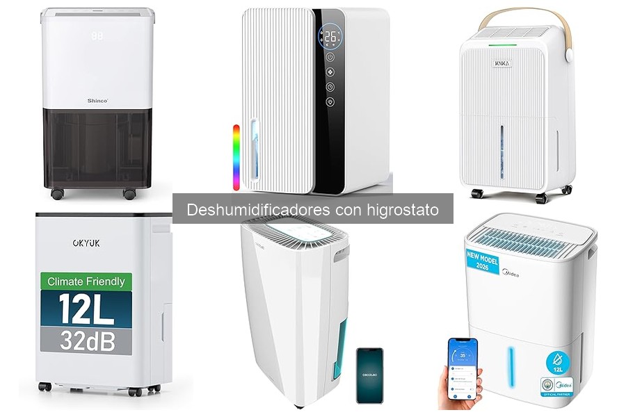 Problemas comunes al usar deshumidificadores con higrostato