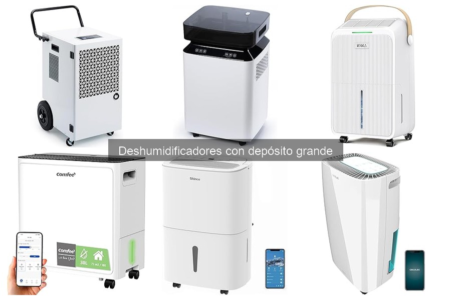 Problemas Comunes con Deshumidificadores de Gran Depósito