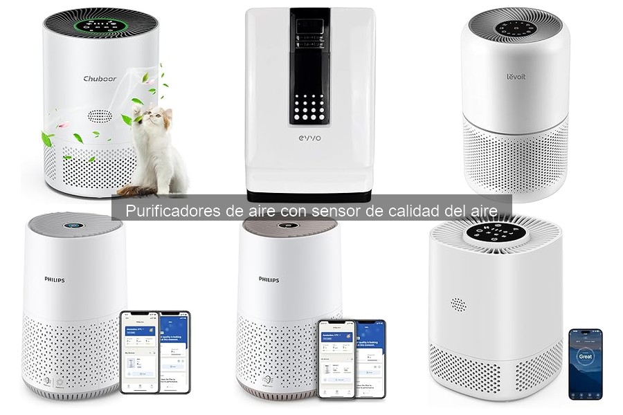Problemas comunes con purificadores de aire y soluciones