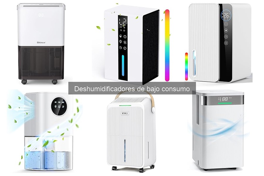 Problemas comunes de deshumidificadores de bajo consumo