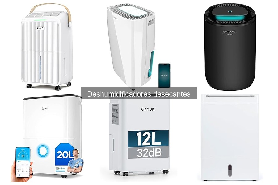 Problemas comunes de deshumidificadores desecantes y soluciones