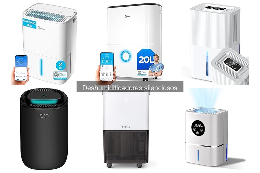 Problemas Comunes de Deshumidificadores Silenciosos y Soluciones
