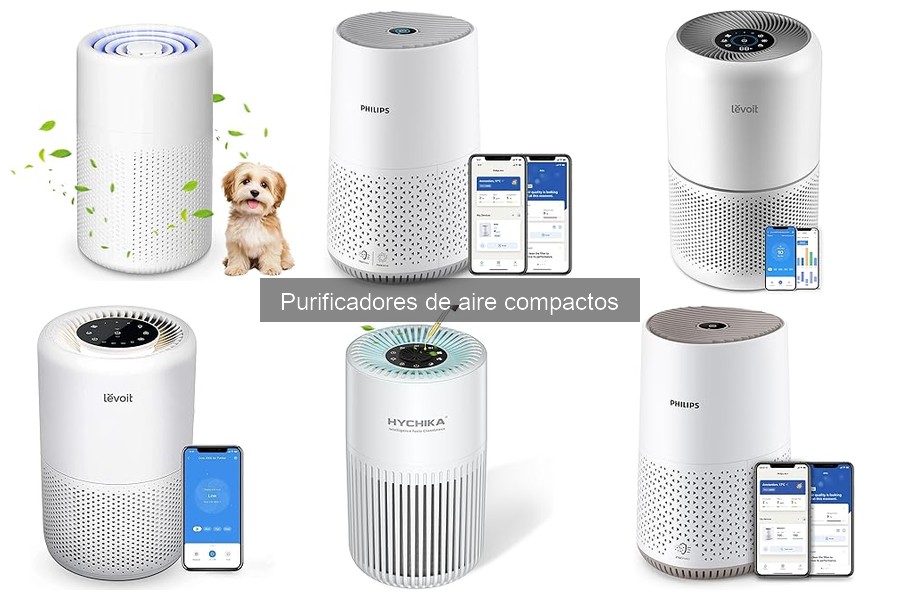 Problemas Comunes de Purificadores de Aire Compactos y Soluciones